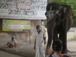 Thiruvidaimarudhur Mahalingaswamy Temple